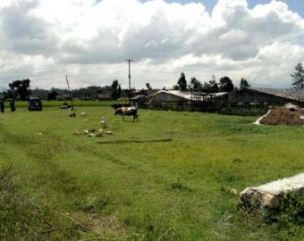1 ropani land for sale ,Gokarna Kathmandu