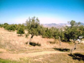 Rustic finca 3000m2 in El Gastor El Gastor