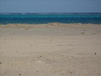 Plot of land in Marsa Alam Marsa Alam