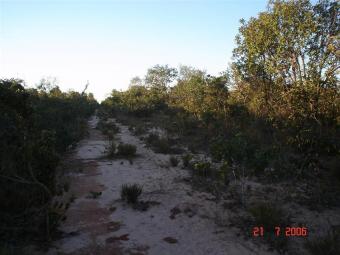 42000ha farm for soy beans Brazi Western Bahia