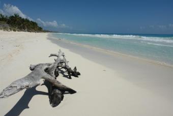 Tulum for the Smarter Investor Tulum