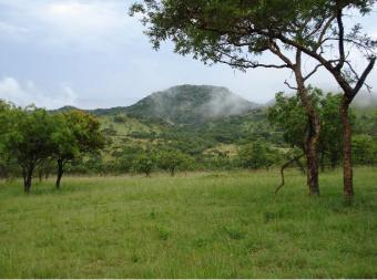 Nelspruit 7 Ha No Land Clai Nelspruit