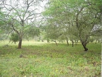 Lot in Monta�ita Ecuador 10200m2 Cuenca