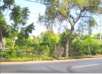 land for sale singaraja Bali