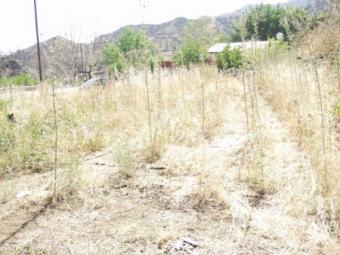 Land For Sale Fylagra, Limassol