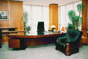 Luxury office in centar of town Skopje