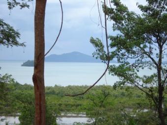 East Coast Sea View Land Ko Lanta Yai