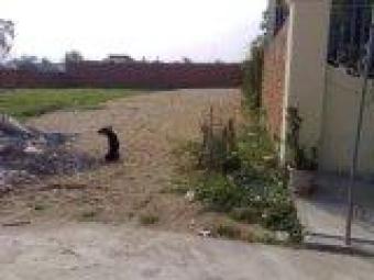 Land For Sale Phnom Penh