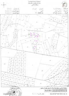 land want to rent Amman