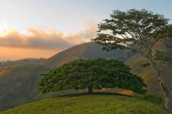 Farm in  Sn Jose Costa Rica San Jos�