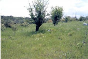 Building plot Kalamata