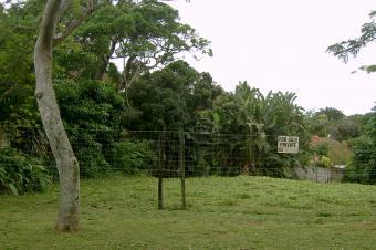 Pennington:stand for sale Pennington