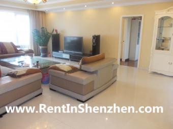 Shenzhen Apartment Rent/NanShan, Shenzhen