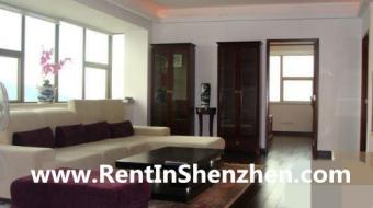 Shenzhen Apartment156sqm 3BR 100 Shenzhen