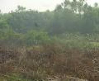 Land For sale at ikoyi Ikoyi Banana Island