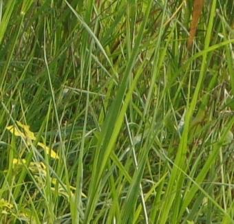 various plots and acres of land Lagos