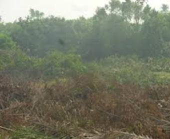 Land for Sale at lekki phase 1 Lekki Phase 1