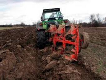 Agricultural firm in Serbia-Vojv Novi Sad