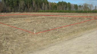 Selling land for private house Iecava