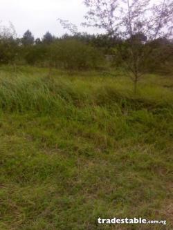 2 PLOTS OF LAND FOR SALE Asaba