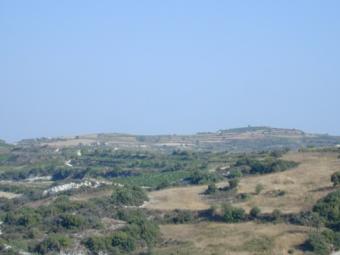 Polis/Paphos plot 10.000 m2 Dhrymou