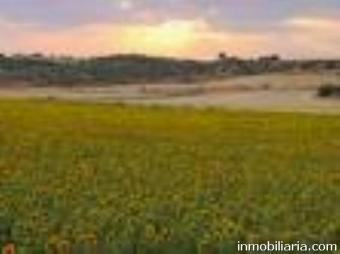 Farm and camp Corrientes
