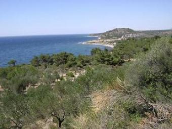 Investment Land For Sale Assos