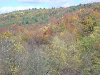 Building land 15500m2! NEW Slavonski Brod