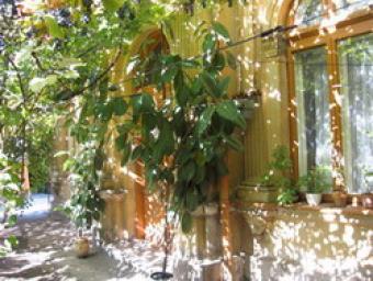 House for sale Bucharest Bucharest