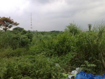 47000SQM DILIMAN QUEZON CITY Quezon City