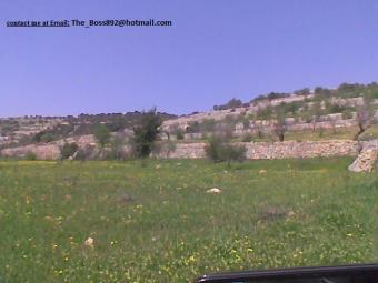 Farm for sale in Ajloun,Jordan Ajloun