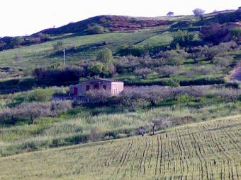 Villa&land in Sicily-Patrinostro Alessandria Della Rocca