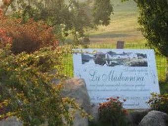 gardencentre in italian hillside Parma