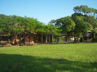 Small Farm 2 Miles From Beach in Rio De Janeiro