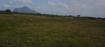 Great Location at Low Price Muzon, Alitagtag, Batangas