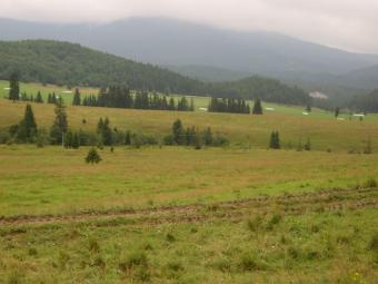 20000 m2 green plot, near Poprad Near Poprad