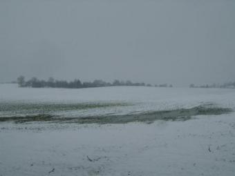 Plot of land Prerov