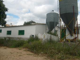 Farm fp266 Setenil De Las Bodegas