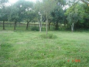 Purbachal Plot & private land Dhaka