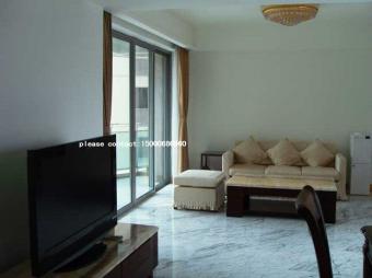 luxury decorated apartment Shanghai