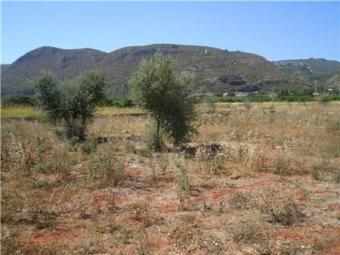 Very attractive building plot Pedreguer