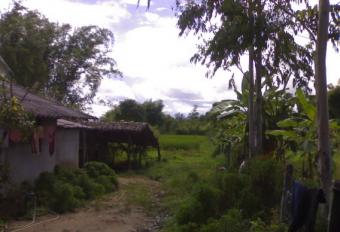 Land for Sale in Chiangmai Chiang Mai