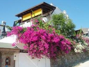 Furnushed private + Sea view Turgutreis Bodrum
