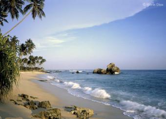 Beach Land Sale In Ambalantota Hambantota