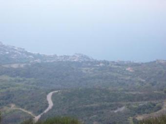 Plot with 4 buildings Bar