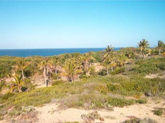 Beach property for sale Praia Do Tofo