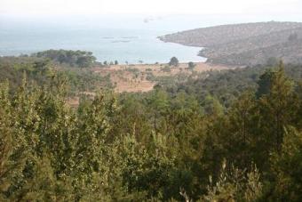 Seafront Land  in Bodrum Bodrum