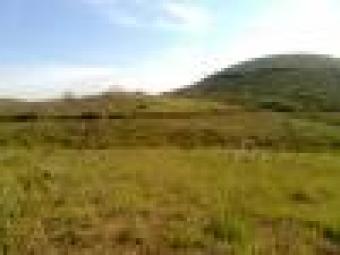 75 acres plain land at Wayanad Wayanad