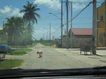 Charlieville `more than acre` Charlieville