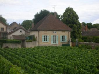BURGUNDY HOUSE IN VINEYARDS Pommard